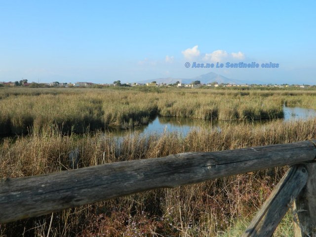 laguna nord